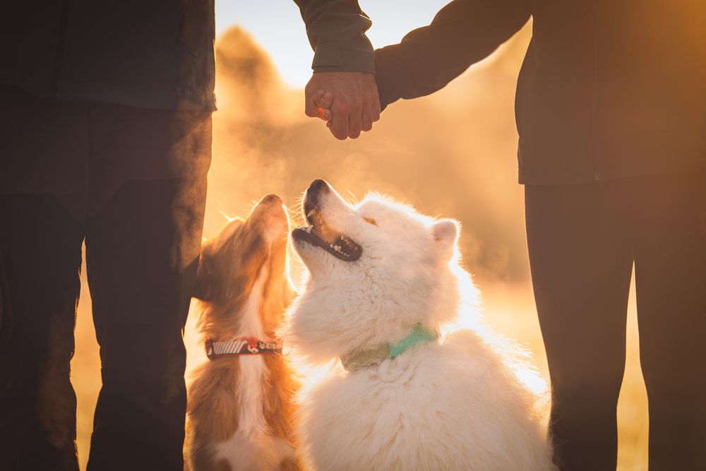 Photograph by Karolina Olejnik