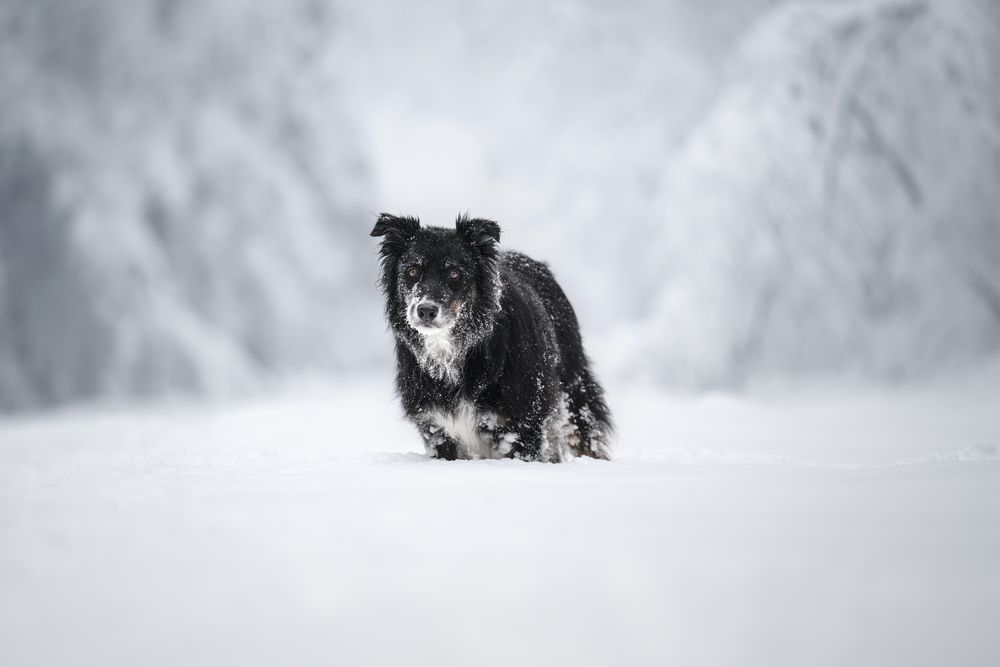 Photograph by Nathalie Soleil