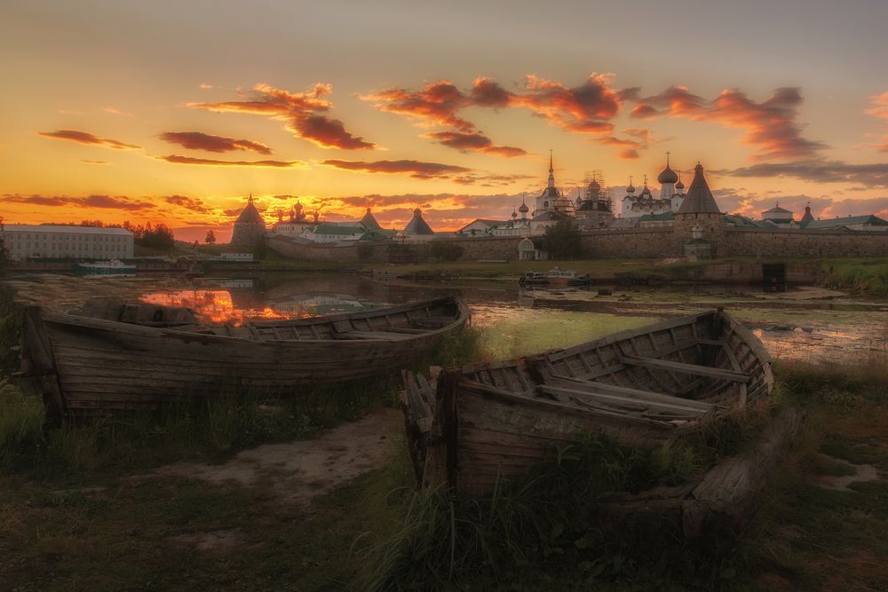 Фотография автора Елена Гусева
