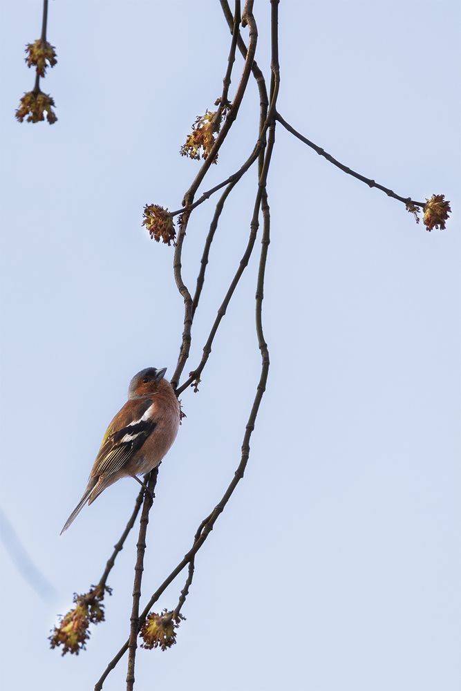 Photograph by Михаил Мак