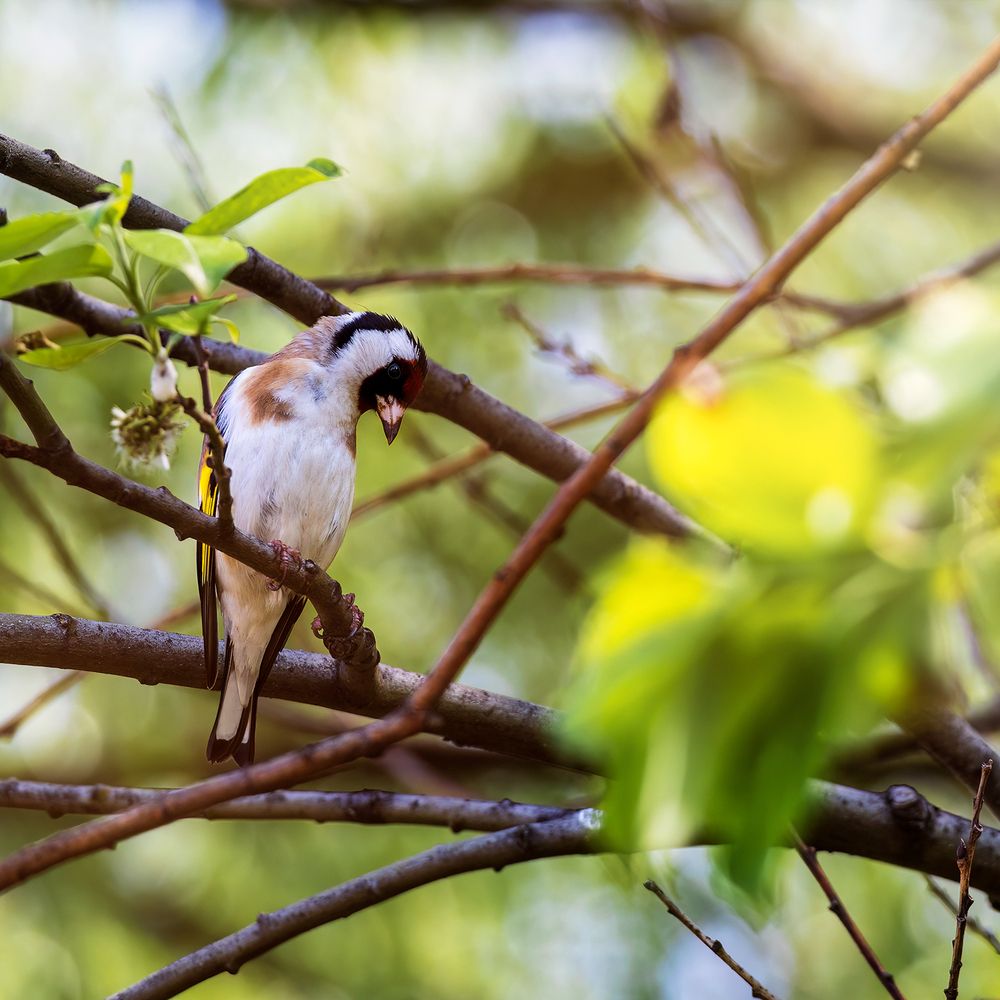 Photograph by Михаил Мак