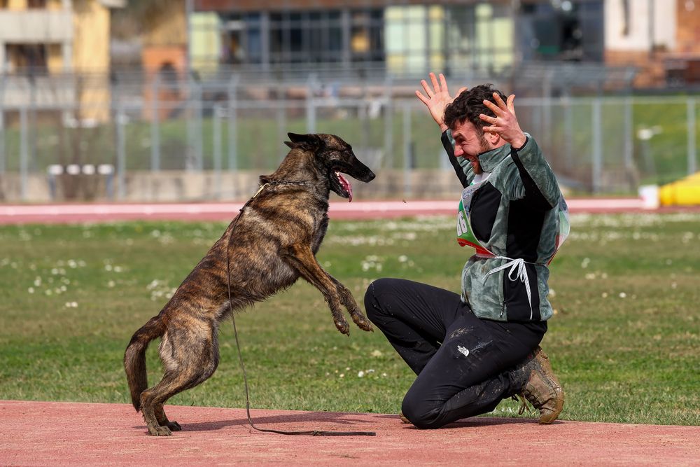 Photograph by Alessandro Grandoni