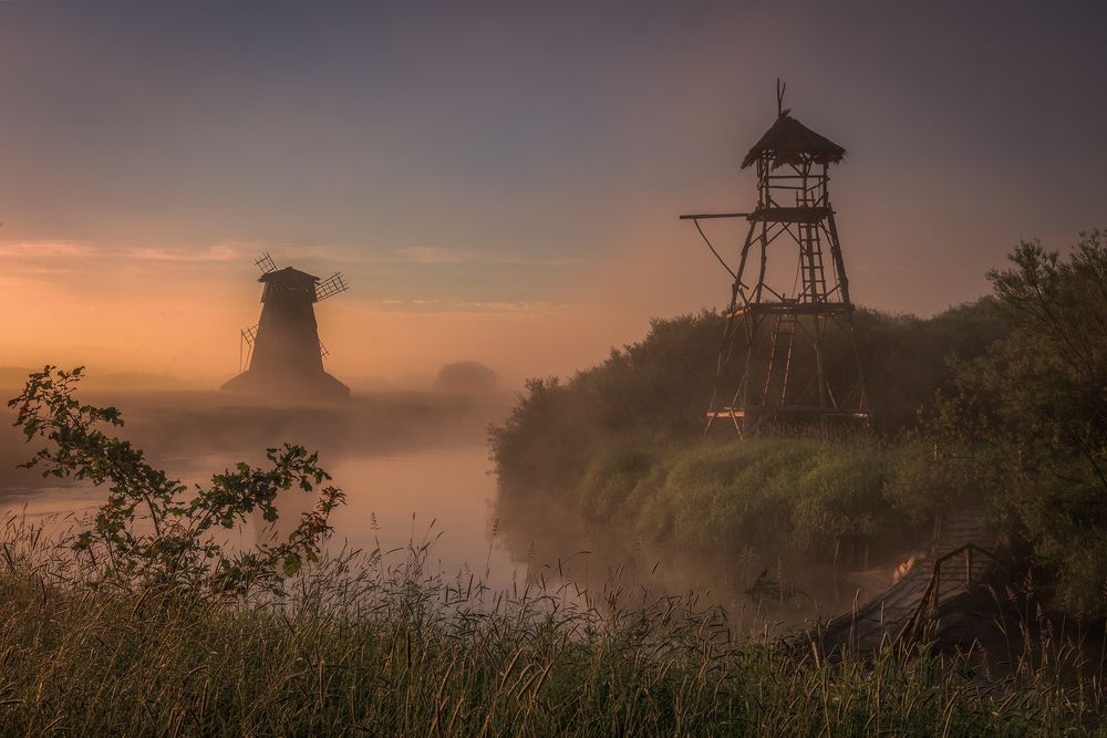 Фотография автора Елена Гусева