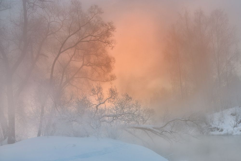 Photograph by Гусева Елена