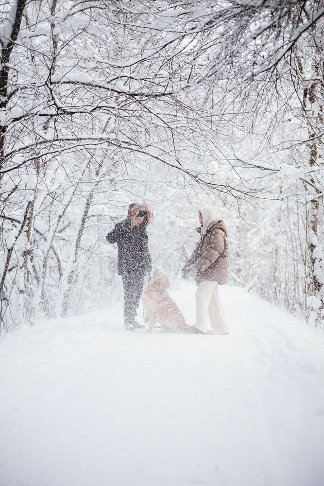 Photograph by Екатерина Воронина