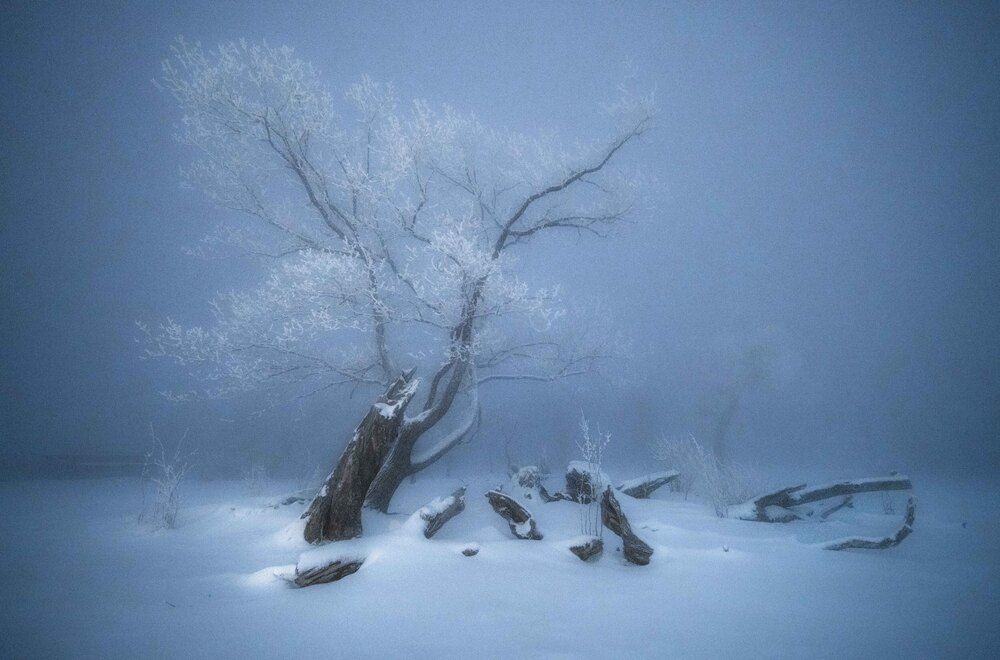 Photograph by Luo Aijun