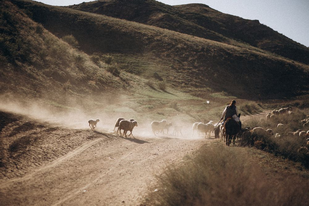 Photograph by Юлия Мальнева
