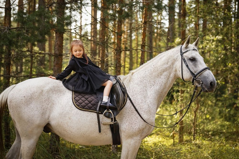 Photograph by Татьяна Шандромайло