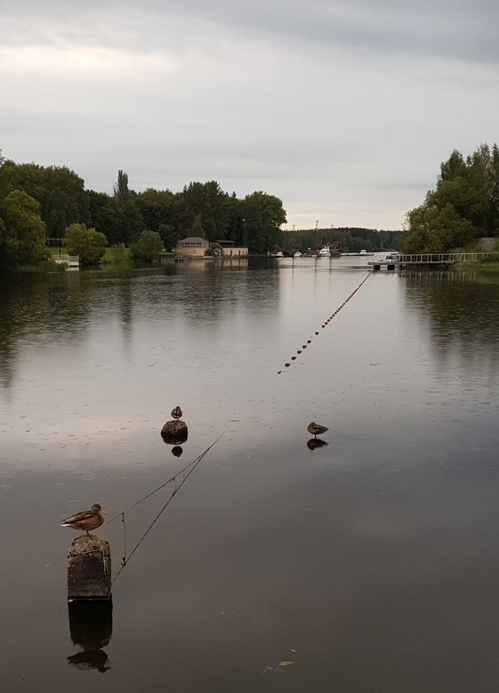 Photograph by Александра Пухкалова