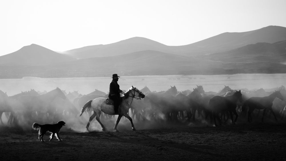 Photograph by Talat Ozel