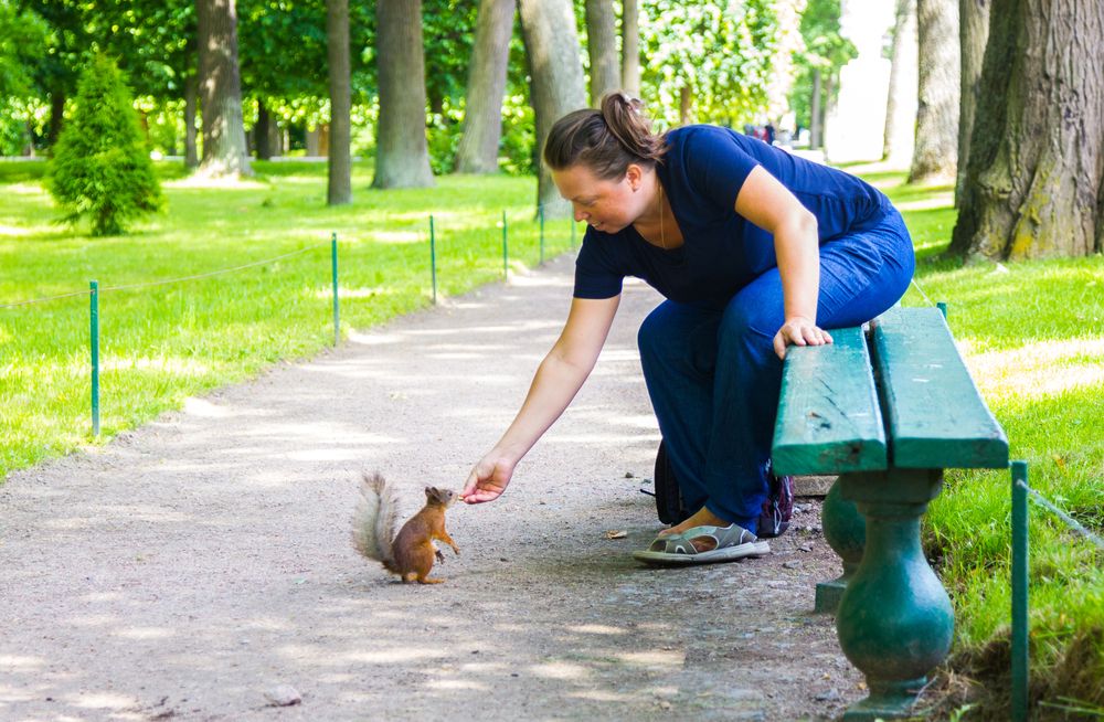 Photograph by Алексей Соколов