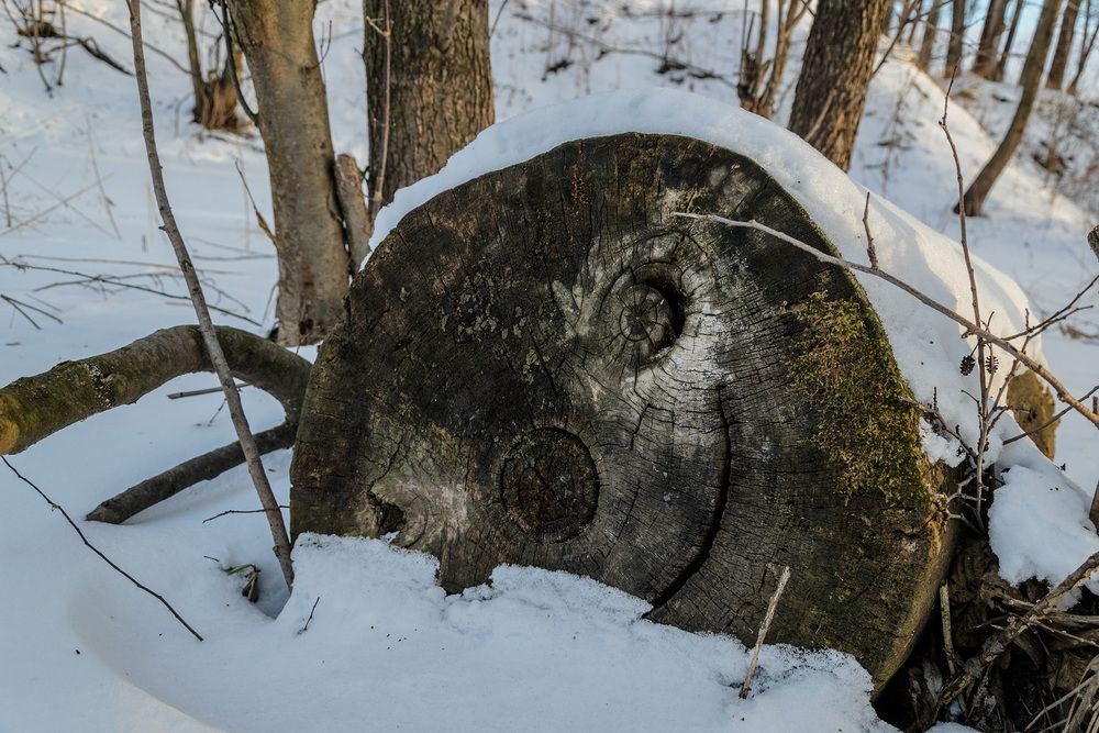 Не смотря ни на что