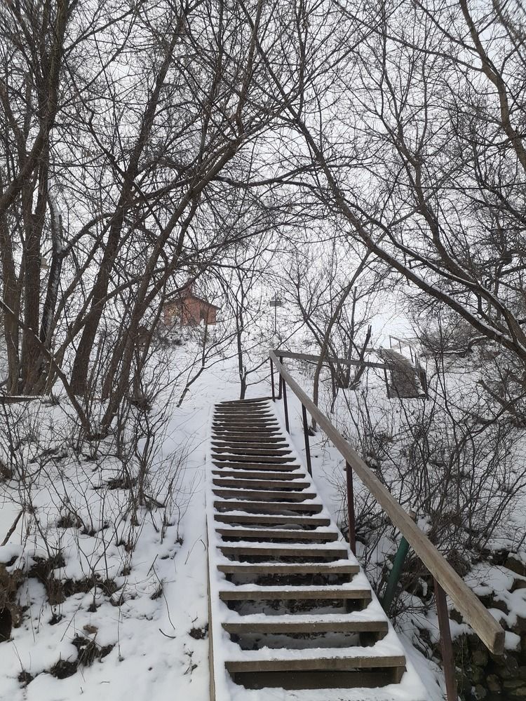 Photograph by Сергей Басюк