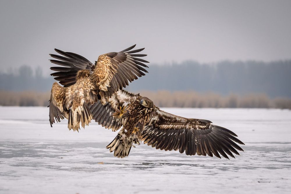 Photograph by Gabriella Magyar