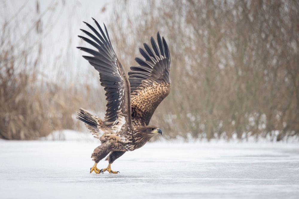 Photograph by Gabriella Magyar