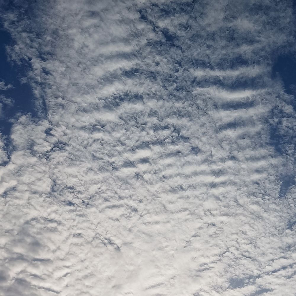 Photo #13131339