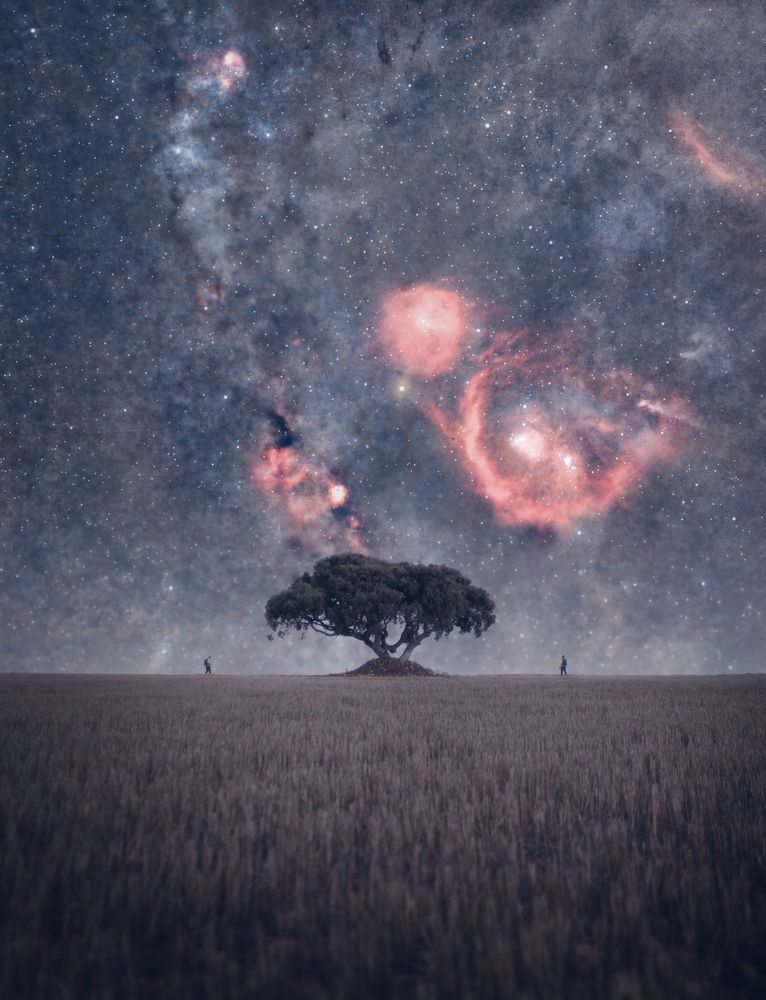 Фотография автора Horacio