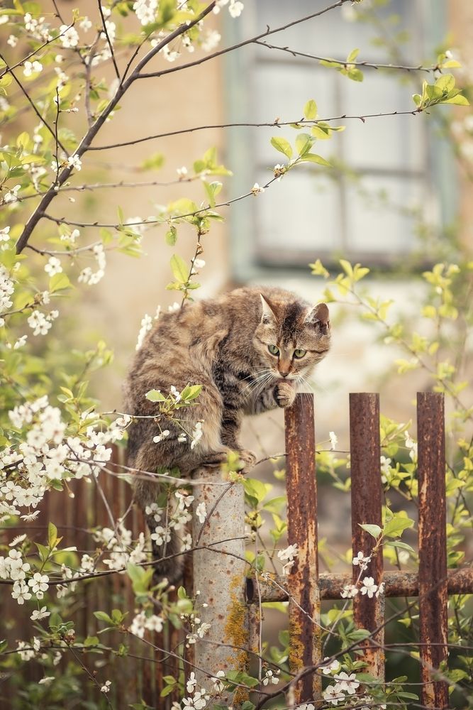 Photograph by Елена Косинова