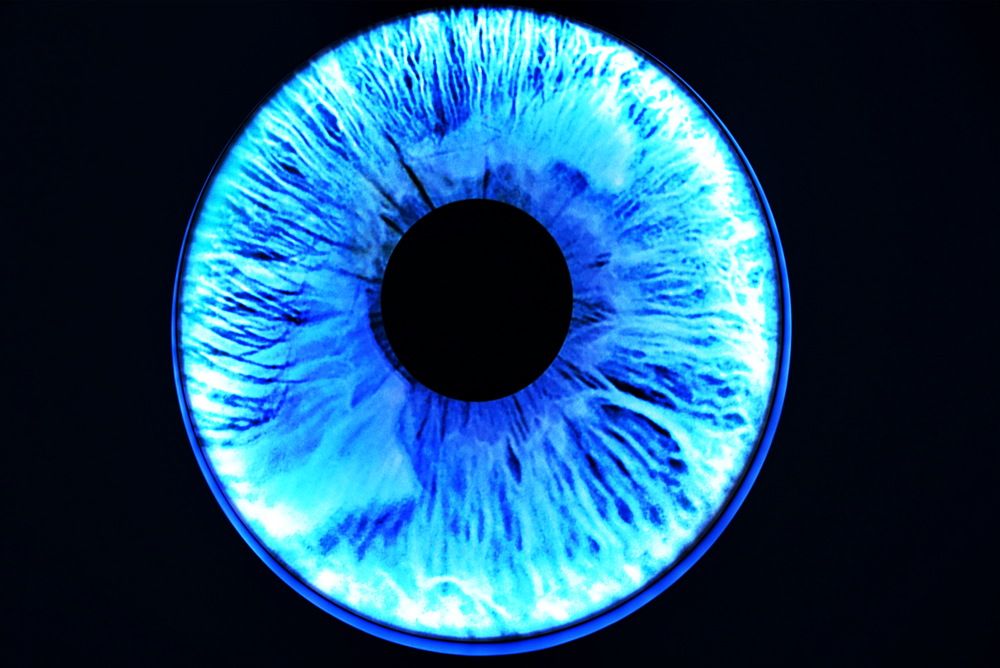 Фотография автора Вадим Гераскин