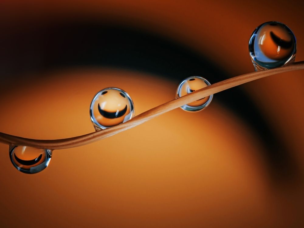 Photograph by Lapshina Vladlena