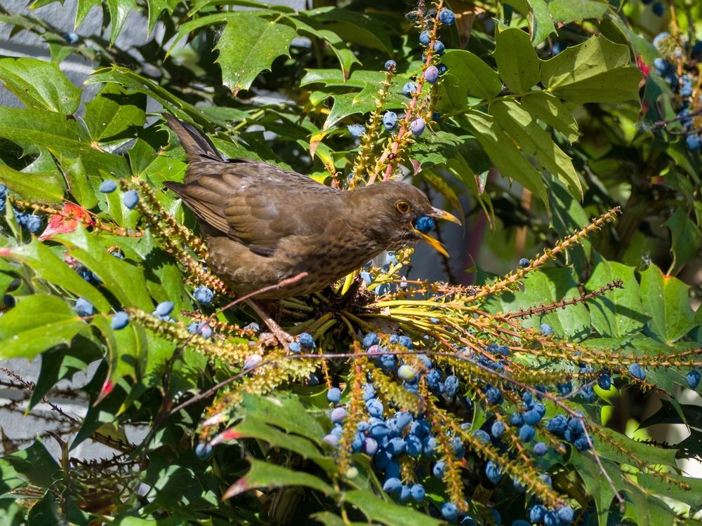 Photograph by Edgars Po