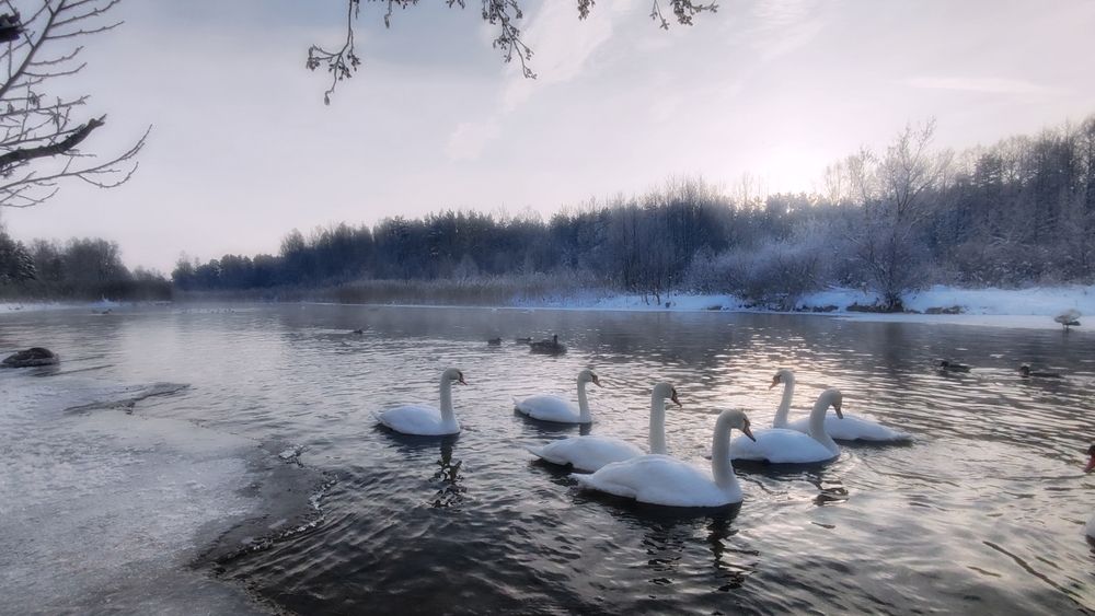 Фотография автора Евгений Белов