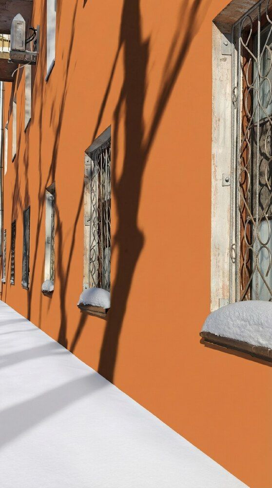 Photograph by Дарья