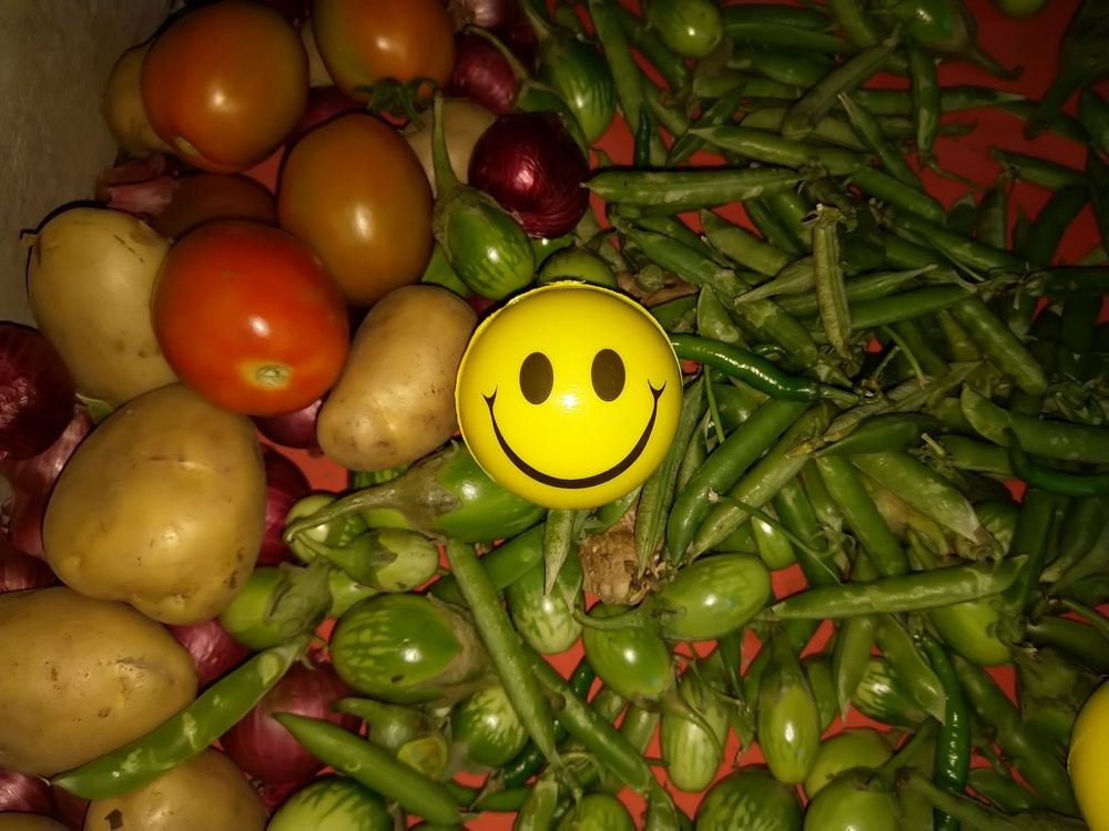 Photograph by sumit sitole