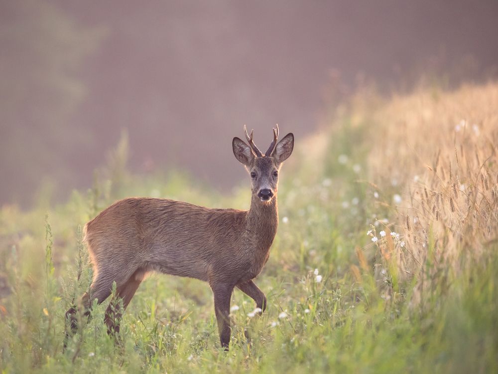 Photograph by Eduard Zhuravlev