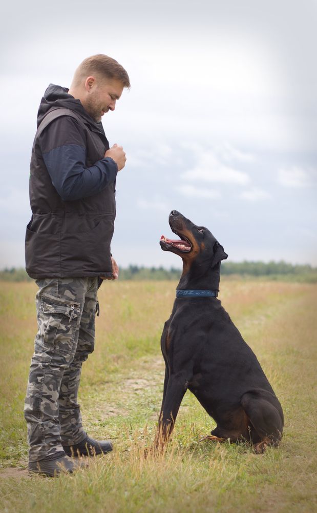 Photograph by Елена Иванова