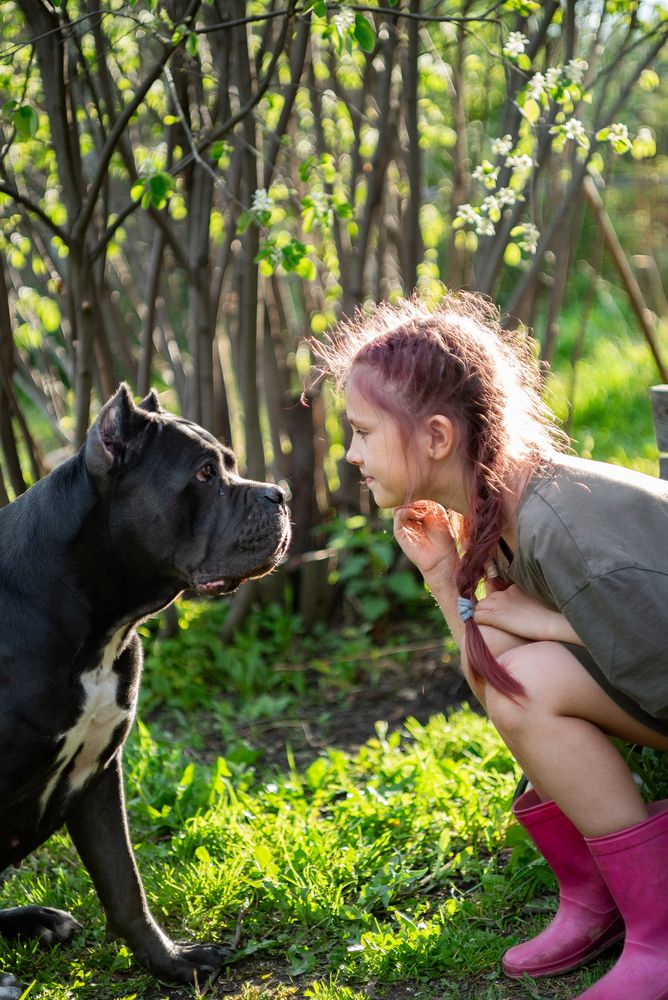 Photograph by Алексей Копцев