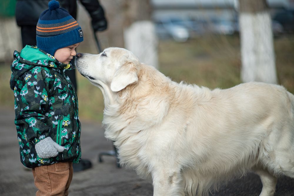 Photograph by Алексей Копцев