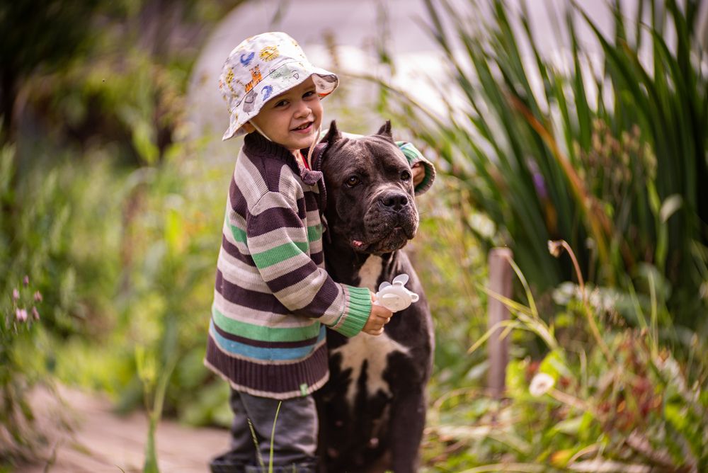 Photograph by Алексей Копцев