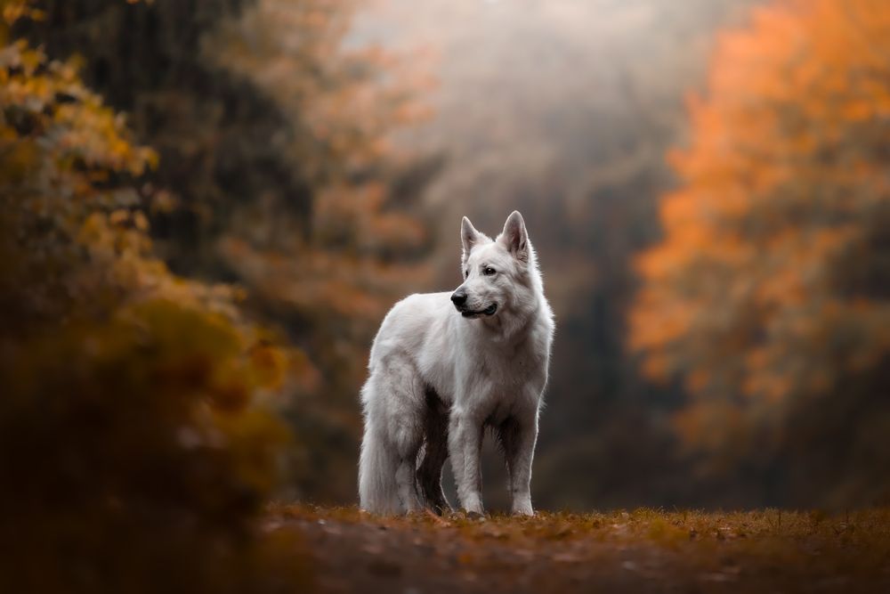 Photograph by Anna Krejčíková