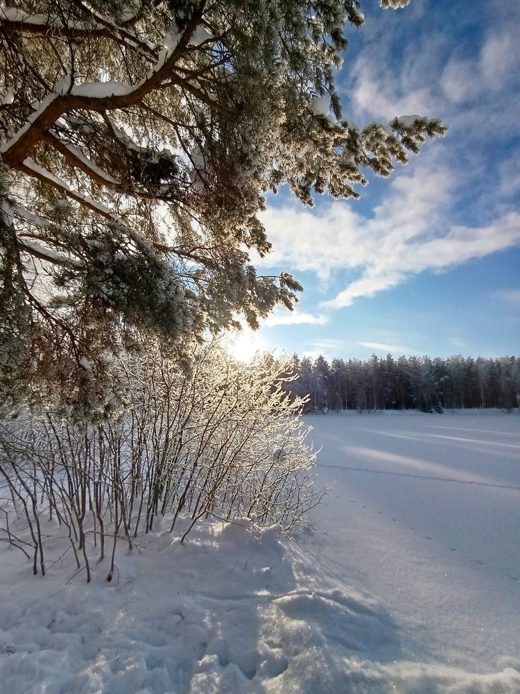 Фотография автора Юлия Чешко