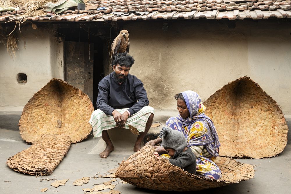 Rural Household