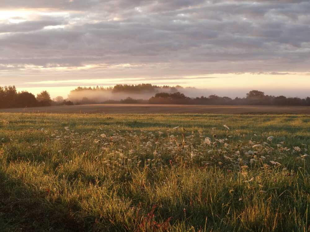 Photograph by Evelīna Radelicka