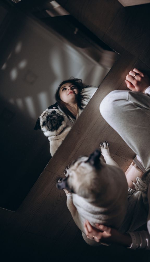 Photograph by Сенченко Андрей