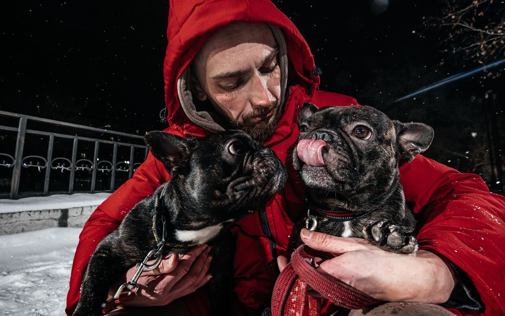 Photograph by Сенченко Андрей