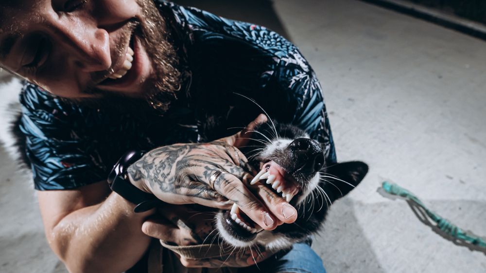 Photograph by Сенченко Андрей