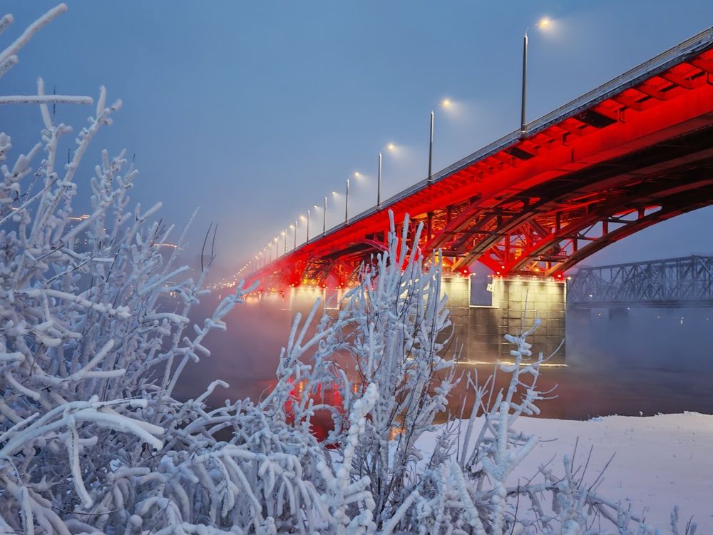 Фотография автора Мария Тюрина