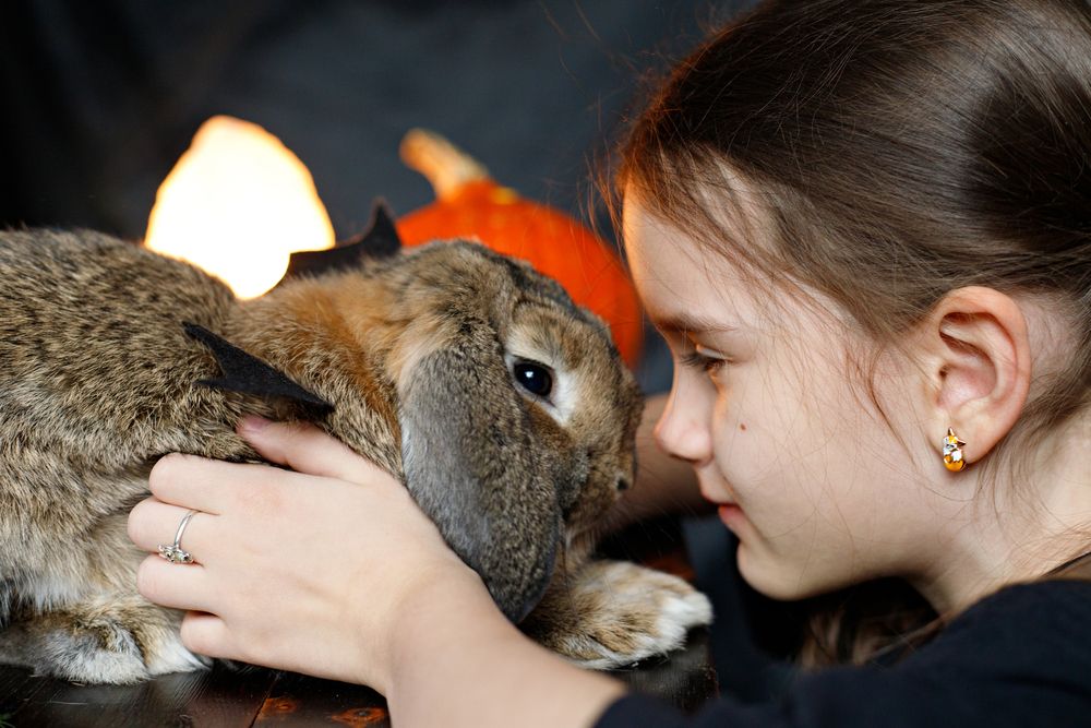 Photograph by Кристина Афанасьева