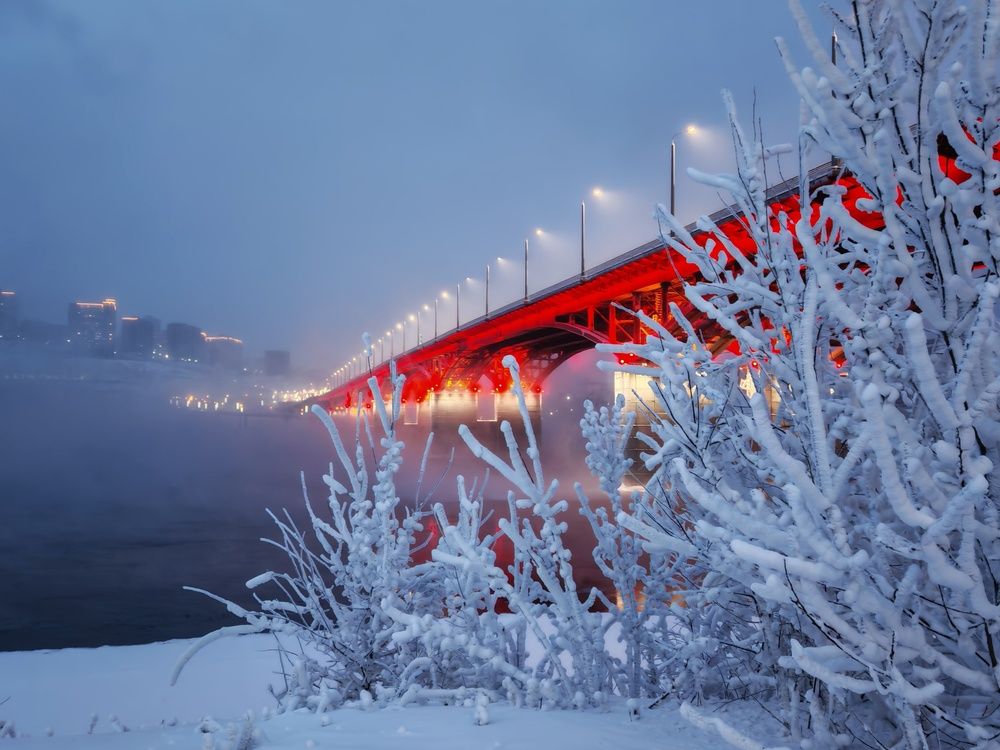 Фотография автора Мария Тюрина