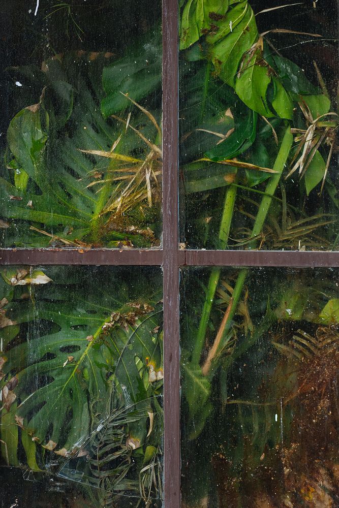 Photograph by Наталья Куровская