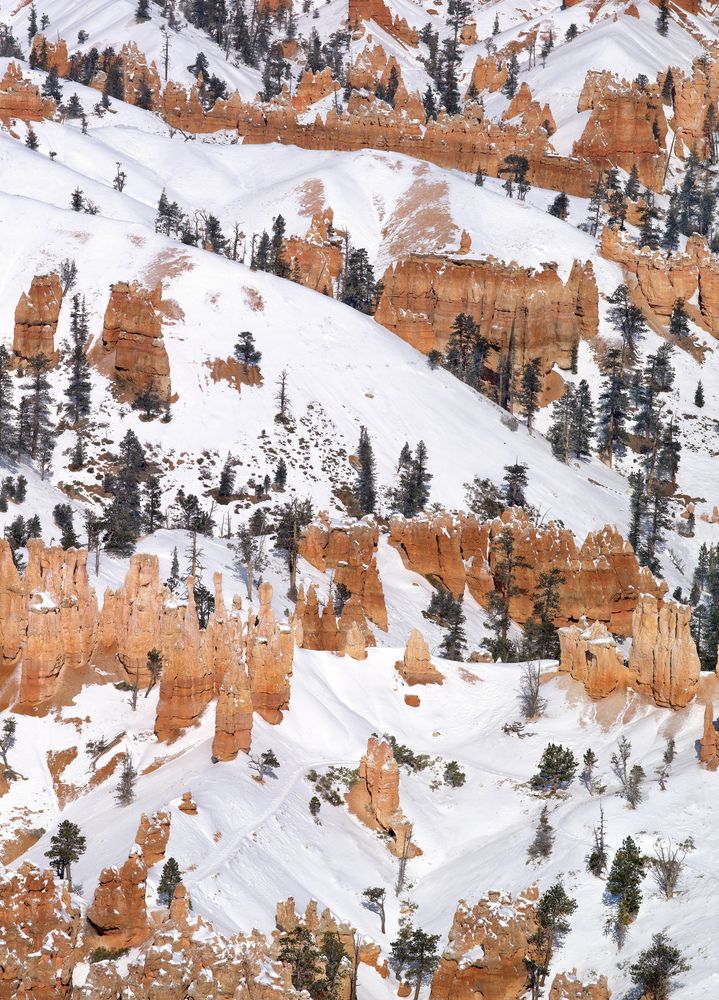 Photograph by Dmitrij