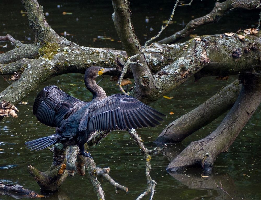 Photograph by Edgars Po