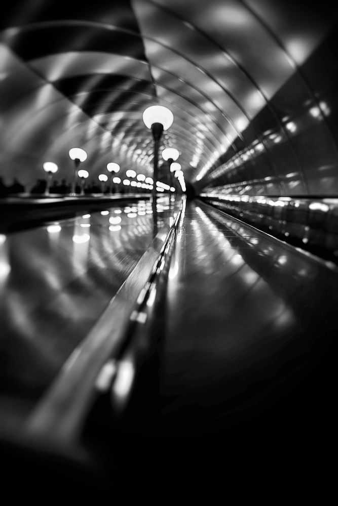 Фотография автора Алёна Михайлова