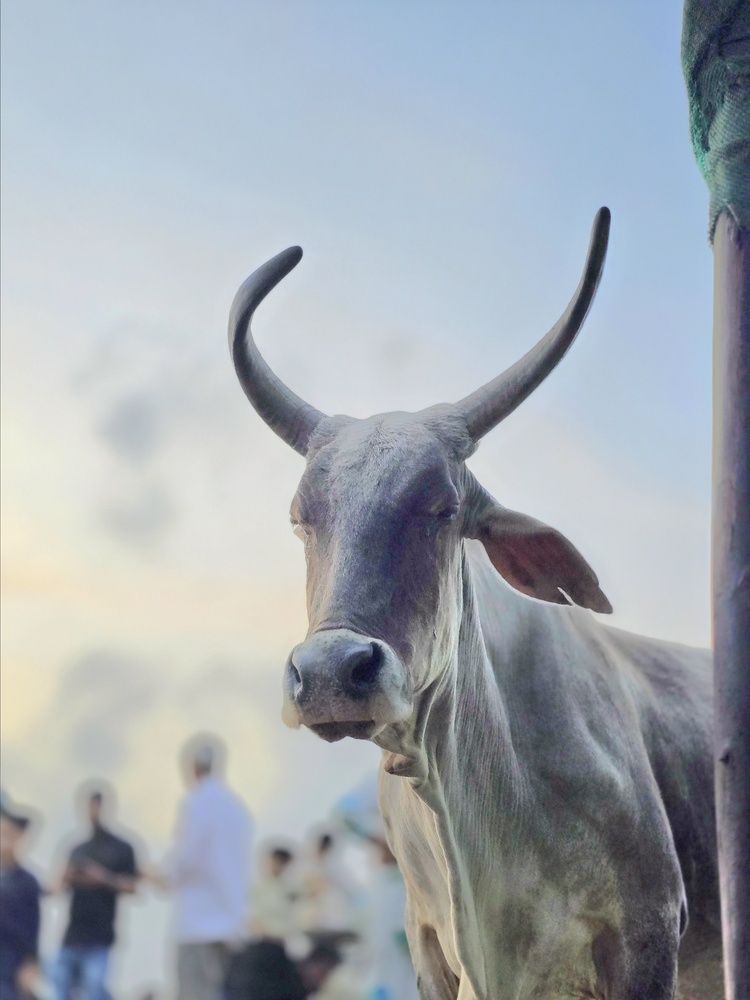 Photograph by YUKTA DESAI