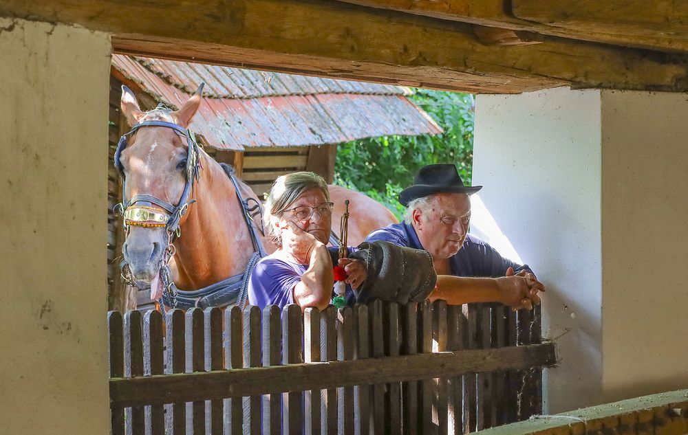 The family (the operators of the dry mill)
