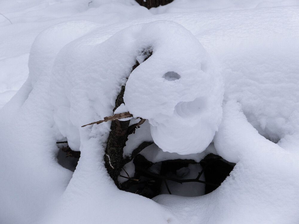 Фотография автора Борис Романов